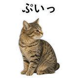 852718384