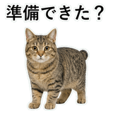 852718388