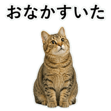 852718399