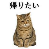 852718401