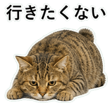 852718402