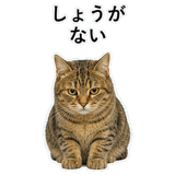 852718413