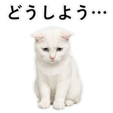 852718423