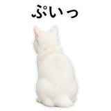852718424