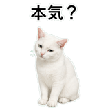 852718425