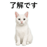 852718426