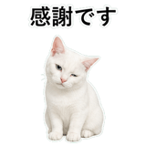 852718427