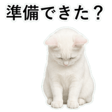 852718428