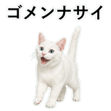 852718430
