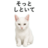 852718434
