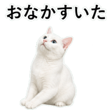 852718439