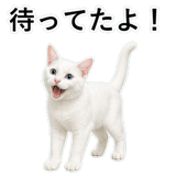852718440