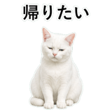852718441