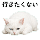 852718442