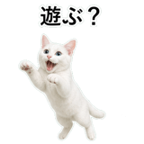 852718449