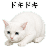 852718450