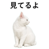 852718452