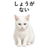852718453