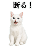 852718455