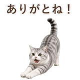 852718457