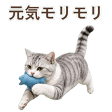 852718460