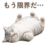 852718461