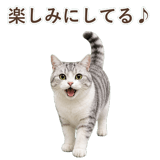 852718463