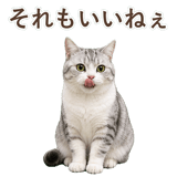 852718465