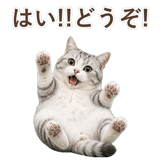 852718469
