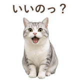 852718471