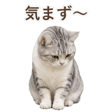 852718472