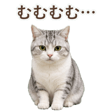 852718474