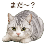 852718484