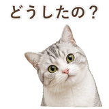 852718486