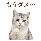 852718492