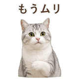 852718494