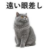 852718500