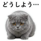 852718503