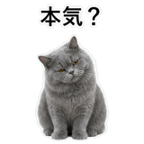 852718505