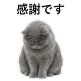 852718507