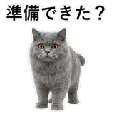 852718508