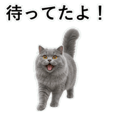 852718520
