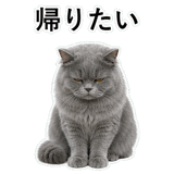 852718521