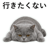 852718522