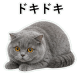 852718530
