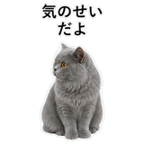 852718531