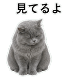 852718532