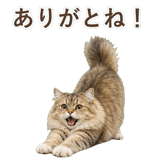 852718537
