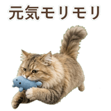 852718540