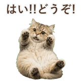 852718549